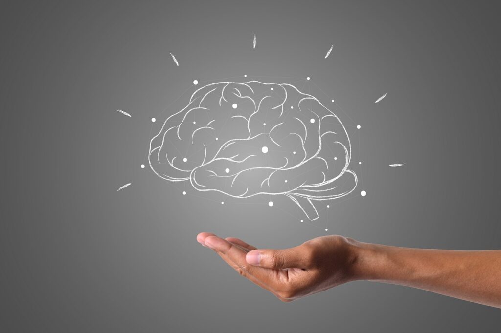 brain, hand, grey-4961452.jpg