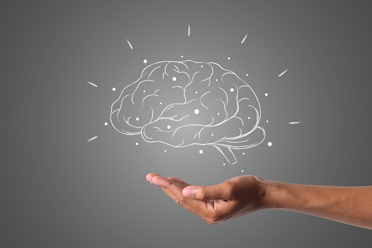 brain, hand, grey-4961452.jpg